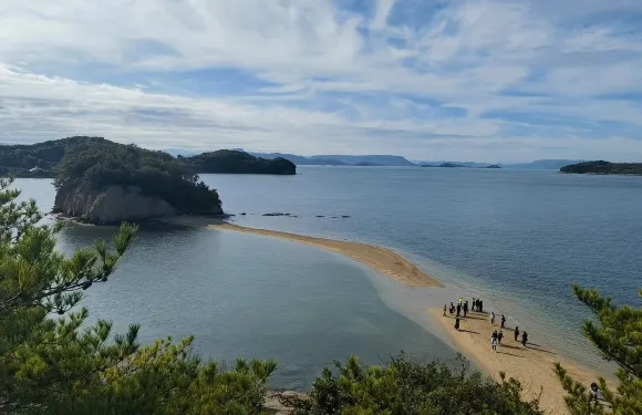 高松市出發：小豆島橄欖公園+二十四之瞳電影村+天使之路包車遊