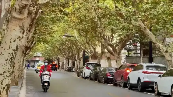 法租界步行與咖啡之旅(田子坊、思南公館、小巷、法國公園)