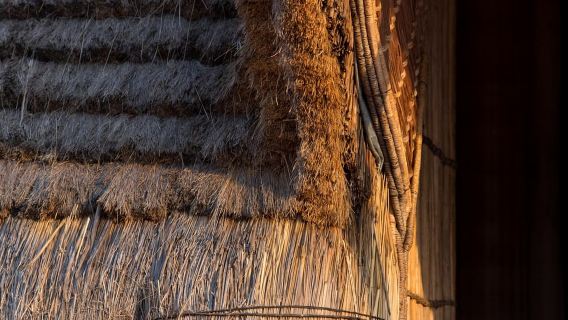 Rwanda: 4-Day Gorilla and Chimpanzee Trekking Tour