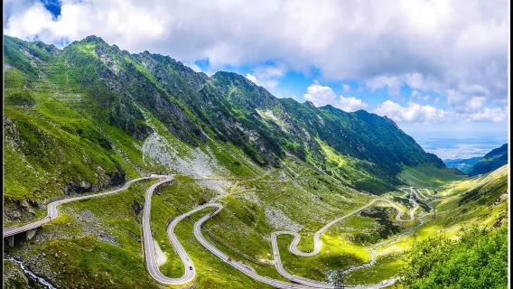 From Bucharest: Făgăraș Mountains and Bear Watching Tour