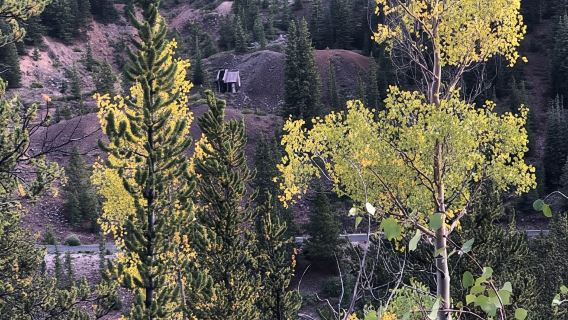 Leadville: 2-Hour Guided E-Bike Tour