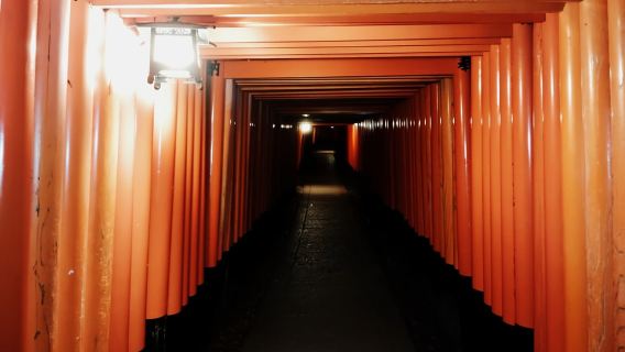 京都：伏見稻荷大社夜遊（含導遊）