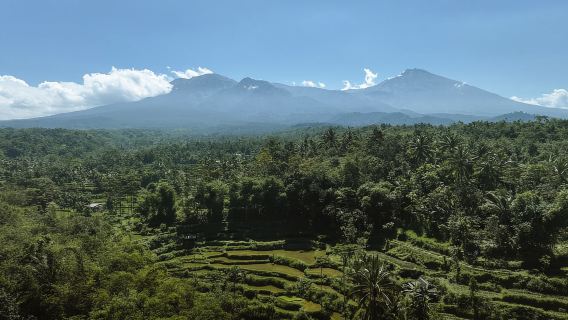Lombok: Paseo por Tetebatu, cascada, bosque de monos y cocina