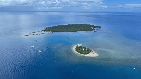 Port Douglas: Riff- und Low Isles-Kreuzfahrt auf Luxus-Katamaran