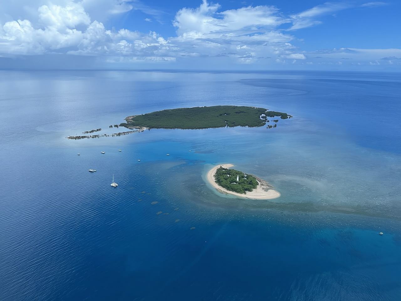 Port Douglas: Crucero por el arrecife y las islas bajas en un catamarán de lujo