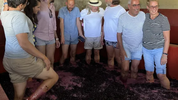 Oporto: 1 o 2 bodegas boutique con almuerzo en la bodega y crucero de 1 hora