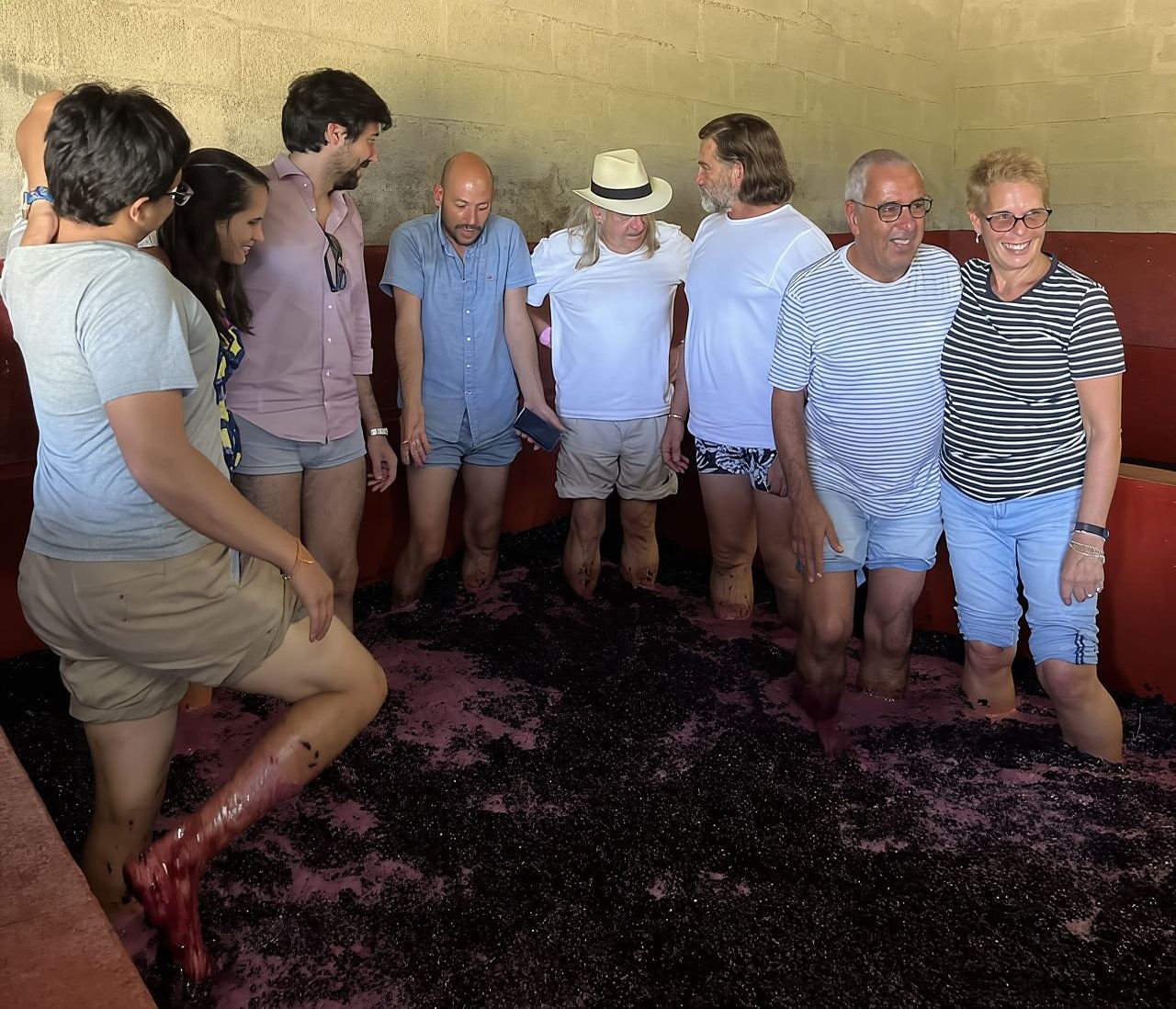 Porto: 1 o 2 cantine boutique con pranzo in cantina e crociera di 1 ora