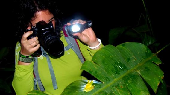 Tortuguero: Avistamiento nocturno de vida silvestre y caminata por la selva