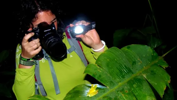 Tortuguero: Night Wildlife Spotting and Jungle Walk