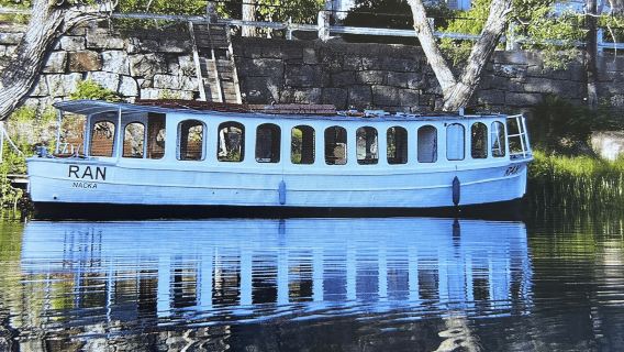 Stockholm: Rondvaart door de archipel en het kanaal met gids