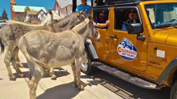 Colorado Jeep Tours - Gold Belt Tour