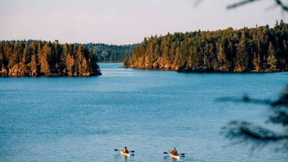 Maine: Half-Day Double Kayak Rental