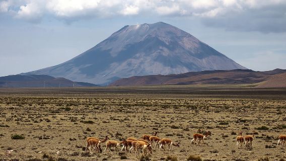 Hari Petualangan di Arequipa: Air Terjun Pillones + Hutan Batu