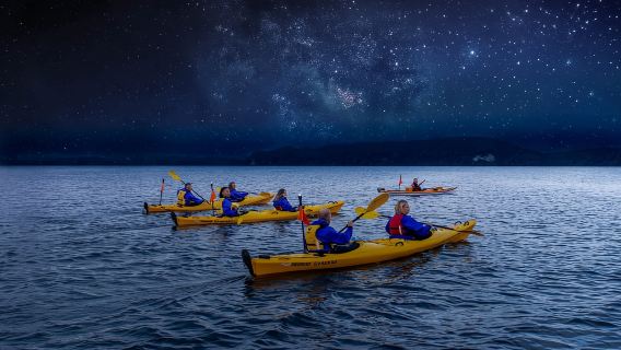 Rotorua: Recorrido gourmet en kayak por la noche bajo las estrellas con cena