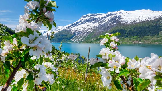 Bergen: Fjord, Waterfalls and Apple-pie – Guided bus tour