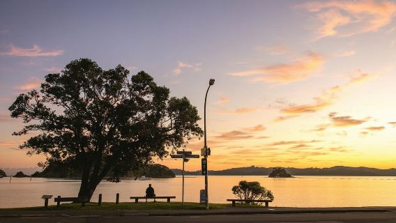 Tur Kelompok Kecil dari Auckland ke Paihia melalui Pantai Barat (Sekali Jalan)