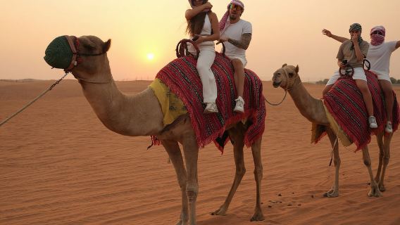 Dubai: Experience 60 Minutes Quad bike & BBQ Dinner