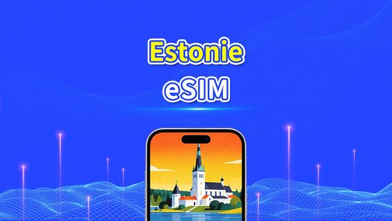 Estonie eSIM | 5G/4G | Forfait données quotidien/total | 1-30 jours | Facturation sur 24 heures | Code QR