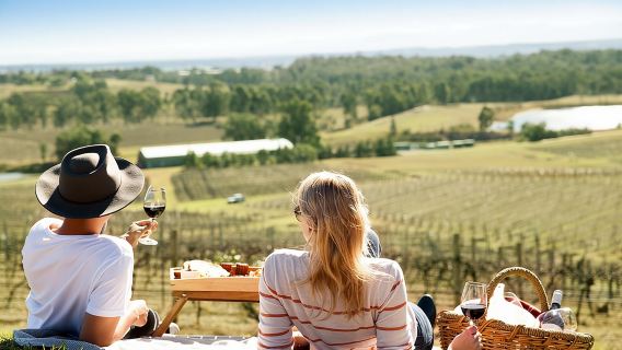 Audrey Wilkinson Vineyard: Picnic with Wine Masterclass Tasting