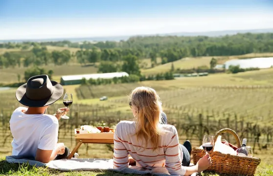 奧黛莉威爾金森葡萄園：野餐葡萄酒大師班品嚐
