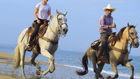 Horseback Riding in Sayulita Through Jungle Trails to the Beach