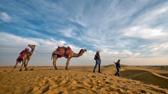 Desert Camel Safari Day Tour In Jodhpur