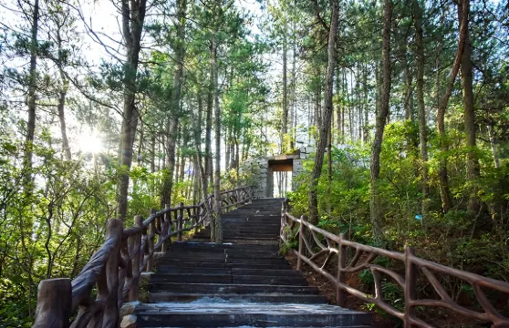 飛旗寨風景區門票 + 上行索道 + 玻璃觀景台大小同價