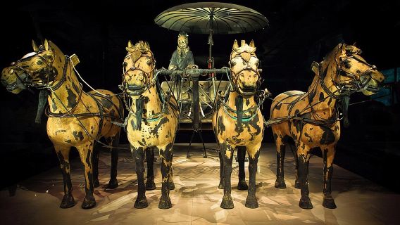 Terracotta Warriors Museum Ticket with Professional English-speaking tour guide