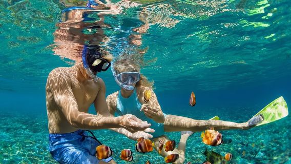 5-Island Speedboat Tour in Cartagena and the Rosario Islands