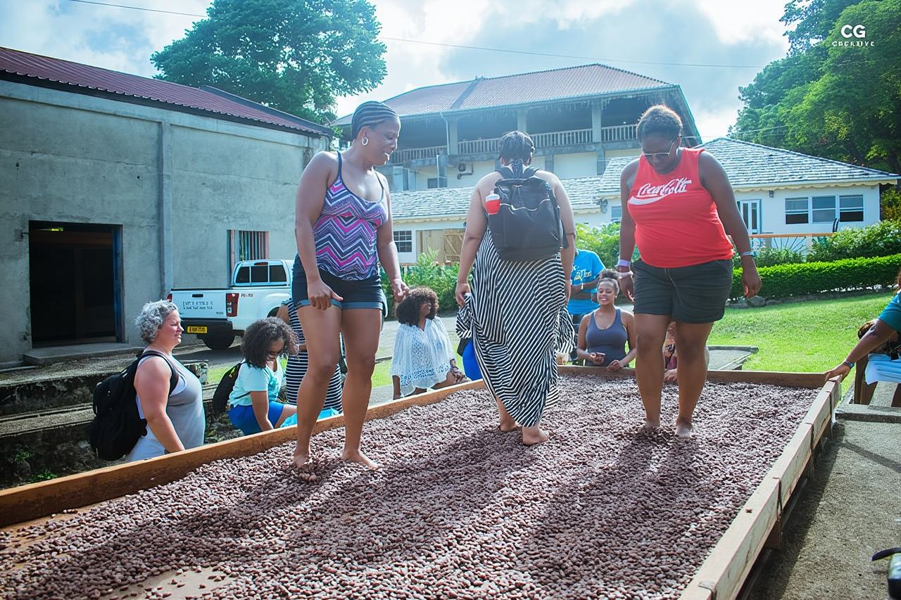 Halve dagtour - Populaire bezienswaardigheden in Grenada, bosreservaat, specerijenmarkt, watervallen