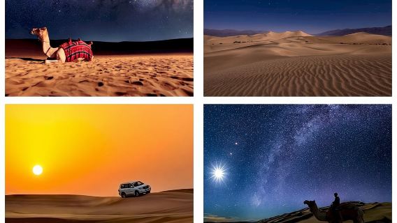 Doha: Safari notturno nel deserto|Safari in transito|giro in cammello|Dune Bashing