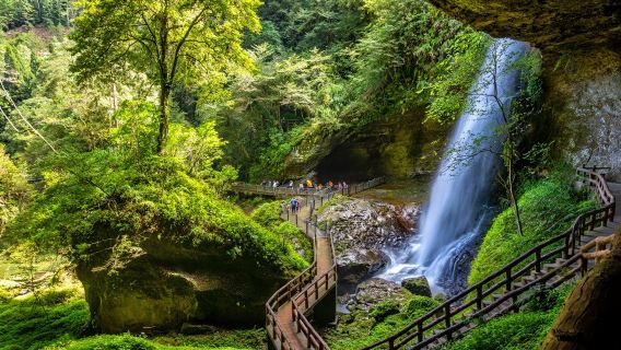 サンリンクシ森林生態リゾートへの日帰りツアー
