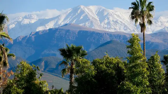 Anima Garden Admission Ticket