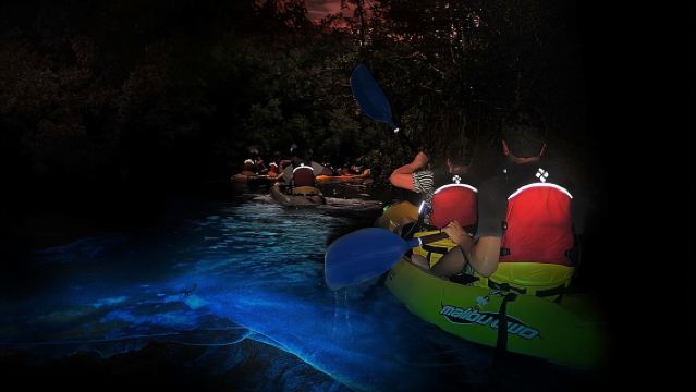 Overnight Bio Bay Kayak Tour in Vieques Island