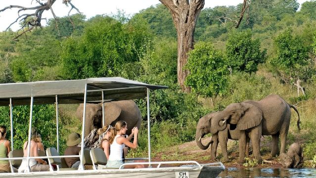 Chobe Full Day Trip