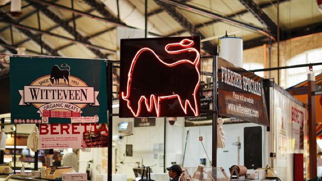 Show me the City! A Small Group Walking Tour of Toronto