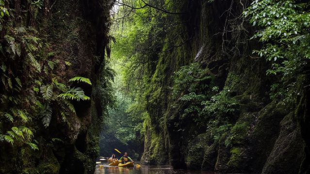 ทัวร์พายเรือคายัคชมหิ่งห้อยยามค่ำคืน – ทะเลสาบคาราปิโระ