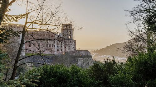 Heidelberg Castle and City Day Tour from Frankfurt Day Tours