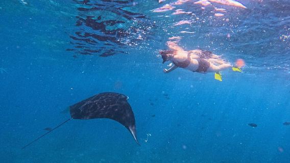 Nusa Lembongan and Manta Bay Snorkeling Experience