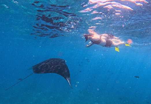 Nusa Penida 3 Point Snorkeling Trip Included Photo & Video