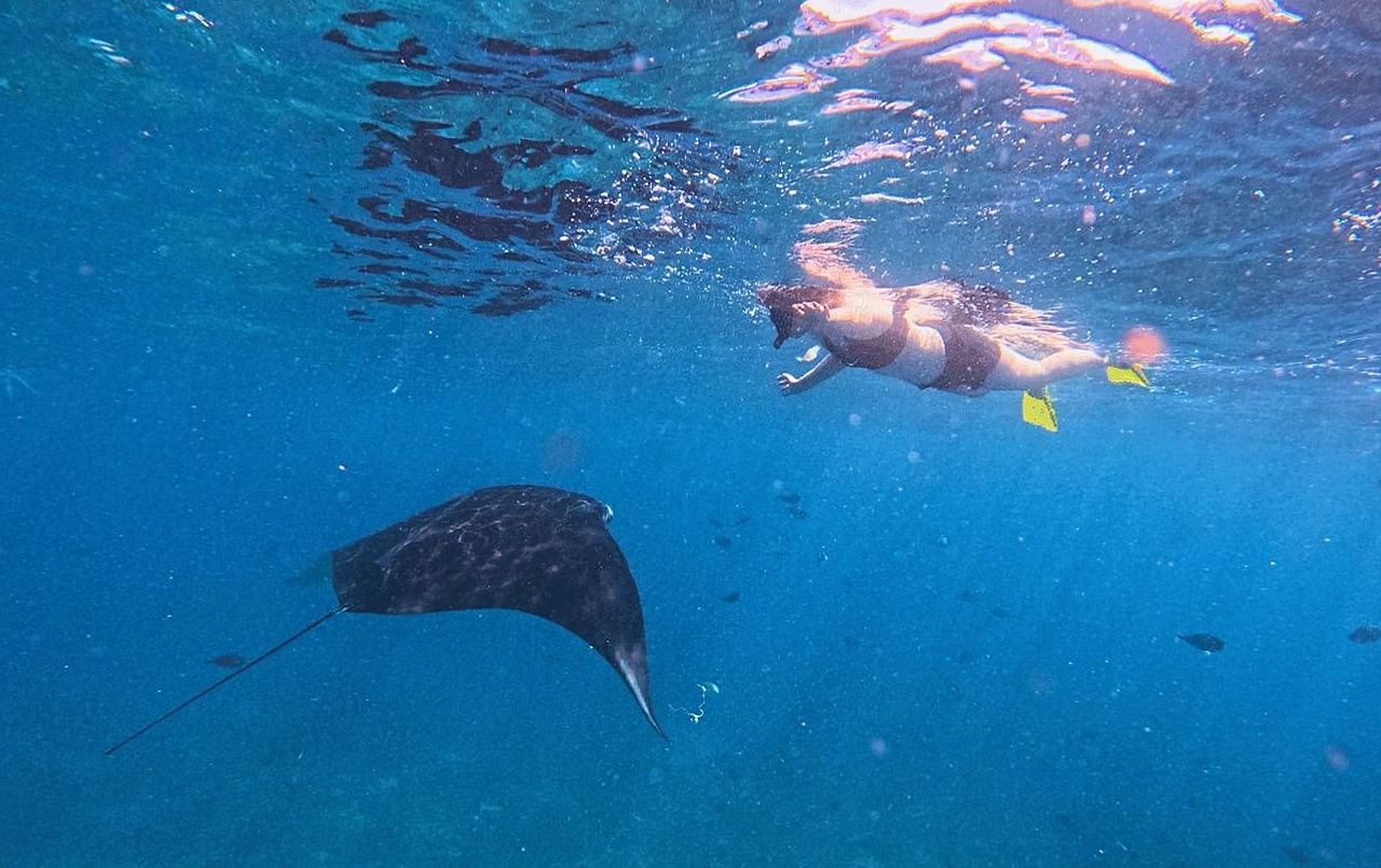 ประสบการณ์ดำน้ำตื้นที่นูซาเลมโบงันและอ่าวแมนตา