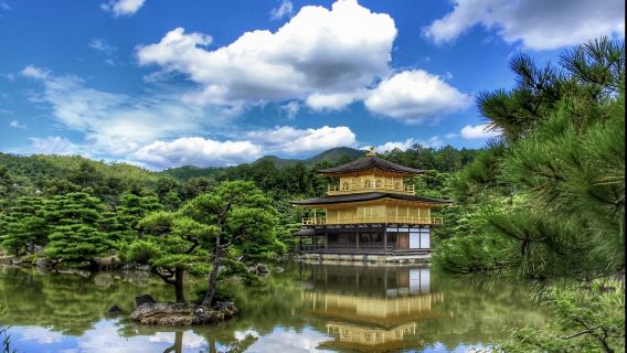 日本大阪-京都瑠璃光院-三千院-可定制【中文專車-舒適純淨】