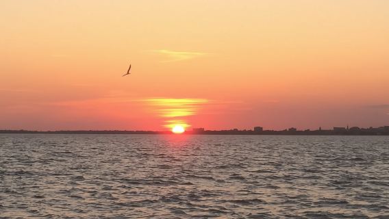 Charleston: Hafenrundfahrt bei Sonnenuntergang