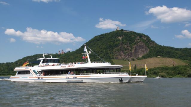 From Bonn: Rhine River to Linz Sightseeing Boat Tour