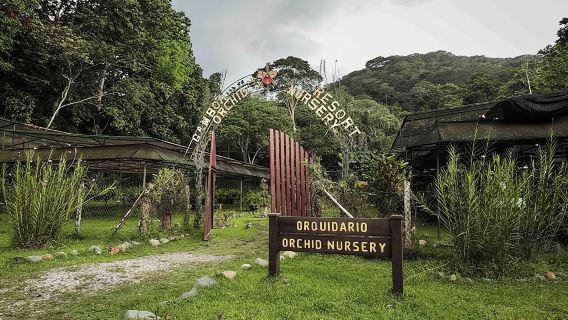 Gatun Boat Tour, Sloth Sanctuary, Wildlife Exhibits + Buffet