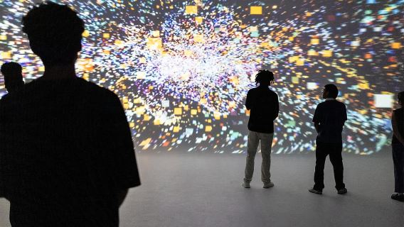 DC: All Creation Sings- Museum of the Bible Exhibition Entry