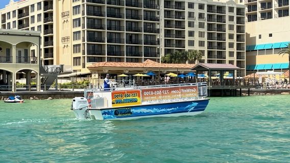 Clearwater Beach: Dolphin-Watching Sunset Cruise