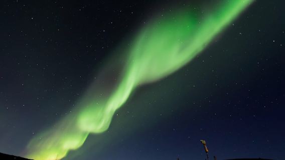 From Tromsø: Aurora Snowshoe Hike