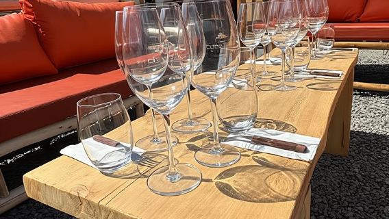 Buenos Aires: Wein- und Musikerlebnis von DV. Catena Zapata