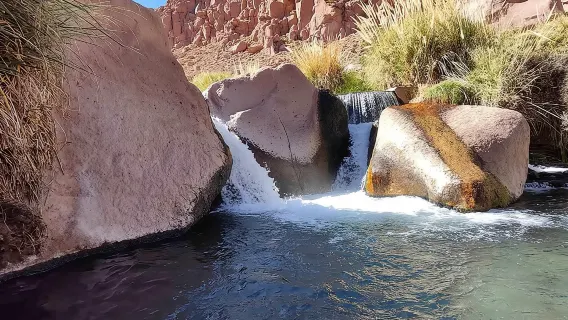 Suối nước nóng Puritama - Tour: San Pedro de Atacama - Chile